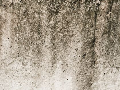 Lo recomendable será hacer una correcta impermeabilización para evitar los problemas de humedad (Foto:FreePik)