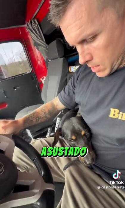 Lo trasladó hasta su nuevo hogar