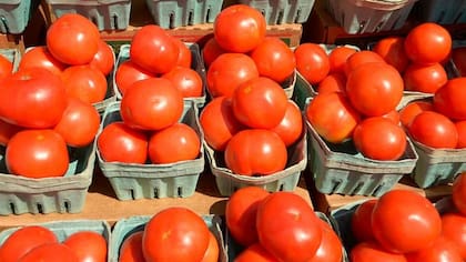 Lo verdaderamente importante del tomate es su contenido en vitaminas y minerales