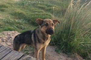 "Lo vi y se me heló la sangre"