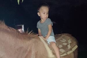 Loan desapareció el 13 de junio pasado después de haber almorzado en la casa de su abuela paterna