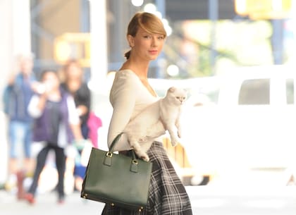 Taylor Swift y su mascota 