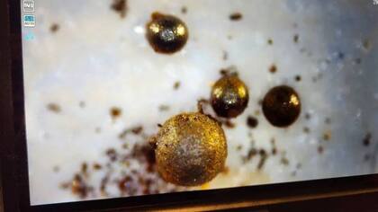 Loeb y su equipo analizan los fragmentos el IM1