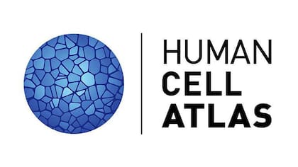 Logo del Mapa Celular Humano.
