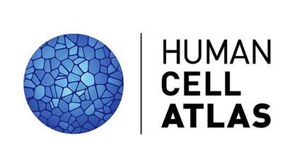 Logo del Mapa Celular Humano. 