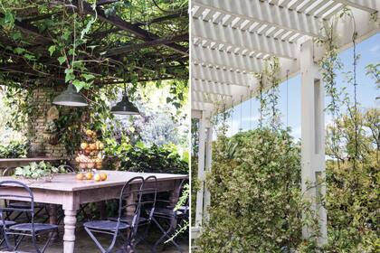 Izquierda: pérgola de estructura sencilla que deja trepar una glicina, complementada con hiedra perenne que se va guiando y aporta sombra todo el año. Derecha: Pérgola que genera sombra inmediata y permite el uso de la terraza, ideada por el arquitecto Pedro Insúa para atemperar el sol del verano.