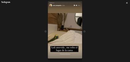 Loli la lora chaqueña que puso en "jaque" la relación entre Alejandro Fantino y Con Mosqueira