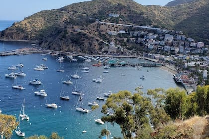 Long Beach se ubica en el cuarto puesto del listado, mientras que Santa Ana ocupa el séptimo lugar entre los destinos con mayor incremento de consultas