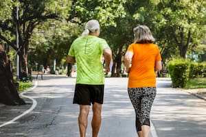 Descubren cómo rejuvenecer el sistema inmune y 'enseñarle' al cuerpo a 'fabricar una versión joven'