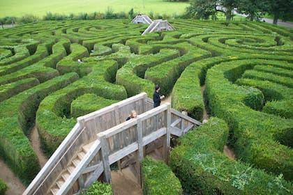Longleat Hedge Maze