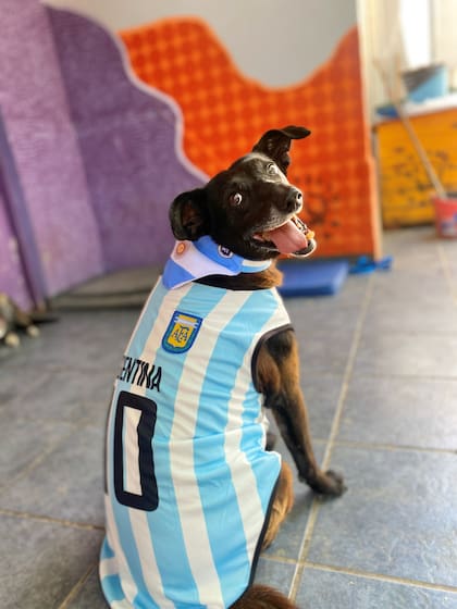 López fue el amuleto del Mundial de fútbol de 2022.