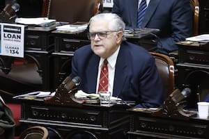 López Murphy cuando se debatió la Ley Bases en Diputados