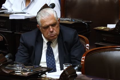 López Murphy durante la segunda jornada del debate por la "Ley Ómnibus" en la cámara de Diputados