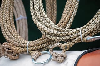 El odontólogo y escritor que divulgó las tradiciones gauchescas e incursionó en la novela