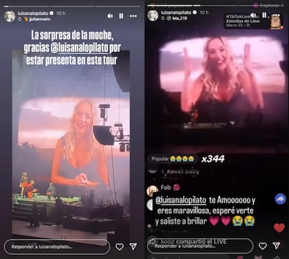Lopilato compartió algunos de los mensajes de sus fans (Foto: Instagram @luisanalopilato)