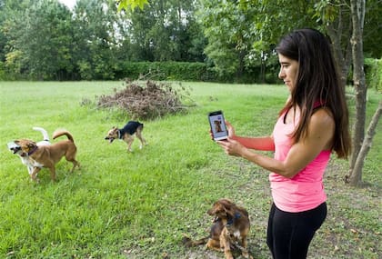 Lorena Pla creó la app de la organización Mascotas en Adopción