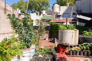 Ocho claves para producir alimentos todo el año