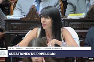 Una diputada libertaria celebró el granizo que afectó a los productores de su provincia: "¡Alucinante!"