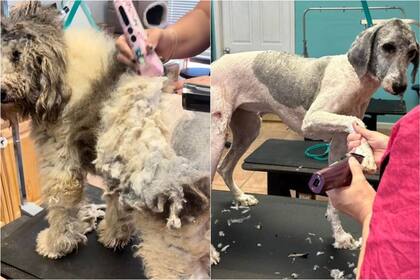 Loretta pasó por una increíble transformación para recuperar su movilidad