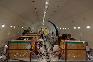 Así fue el atípico viaje de los 10 delfines que estaban en el Aquarium de Mar del Plata