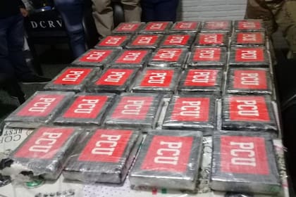 Los 29 kilos de cocaína "bombardeados" en la isla del Chaparro, situada en el río Paraná frente a Victoria, Entre Ríos, y a Rosario, en 2020