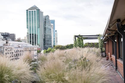 Los 400m2 de esta terraza en Puerto Madero se lucen por la vegetación y su presencia. A lo lejos, los edificios parecen volar sobre las gramíneas. Más atrás se observa la pérgola, concebida para pailar el sol de mediodía y de tarde.