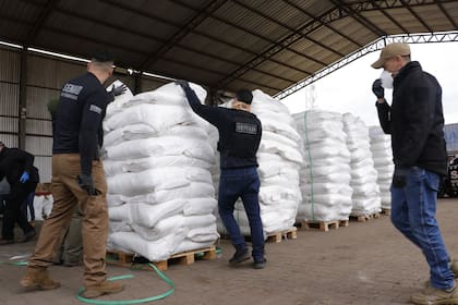 Los 4013 kilos de cocaína, secuestrados en Paraguay, estaban camuflados en un cargamento de azúcar