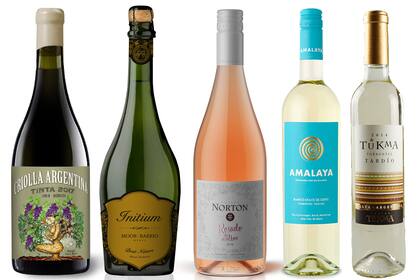 Los 5 vinos de mejor relación precio calidad según un prestigioso crítico inglés