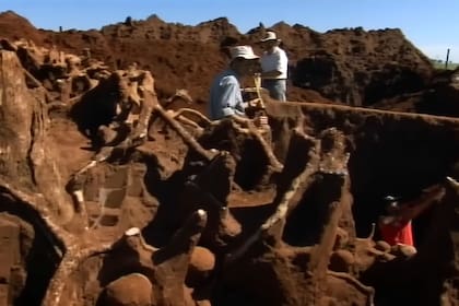 Los 50 metros cuadrados del hormiguero evidencian el poderío que tuvo en su momento de vida