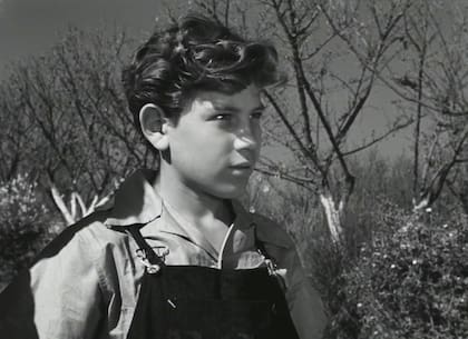 Cuando Alfonso Mejía se presentó al casting tenía 15 años, fue elegido por Buñuel y luego se convirtió en un astro del cine mexicano