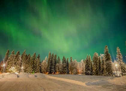 Los abetos de Laponia, en Finlandia, tienen la capacidad de alojar en sus agujas minúsculas partículas de oro que brillan hasta sin presencia de luz solar