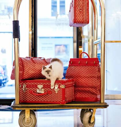 Los accesorios de viaje de Sócrates están firmados por Maison Goyard