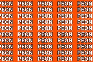 Los acertijos visuales sirven para entrenar la mente