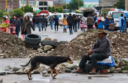 Los actuales bloqueos de carreteras han provocado una grave escasez de alimentos y combustible en Bolivia.