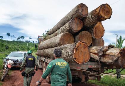 Los agentes de IBAMA, agencia estatal que protege la selva, trabajan amenazados y solo salen al campo custodiados por la policía federal
