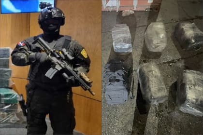 Los agentes incautaron en el Puerto de Haina Oriental de República Dominicana el cargamento ilegal que se dirigía a Estados Unidos