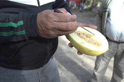 Los agricultores familiares garantizan el 60% de los alimentos que llegan a las mesas y solo tienen el 13% de la tierra