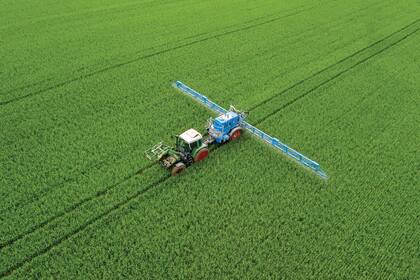 Los agroquímicos se utilizan para controlar enfermedades