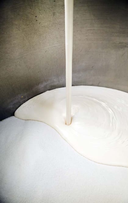 Los alfajores de dulce de leche reciben un baño de verdadero merengue italiano.