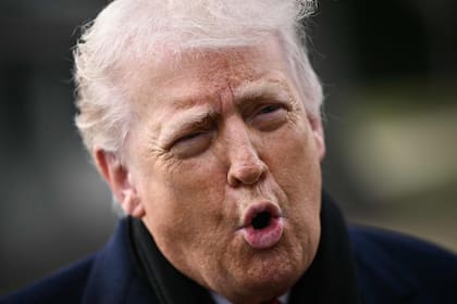 Los aliados del presidente Donald Trump temen que su estrategia ofensiva contra la inmigración ilegal aleje a los votantes indecisos