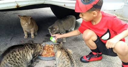 Los alimenta, los mima y los ayuda a mejorar