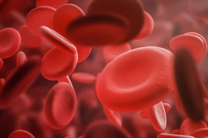 Los glóbulos rojos son necesarios para transportar oxígeno al resto del cuerpo