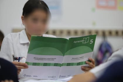 Los alumnos fueron evaluados en lengua y matemática