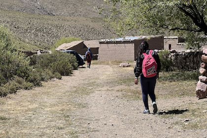 Los alumnos viven en zonas rurales muy alejadas, y gracias a esta propuesta, no tienen que migrar para ir a la secundaria