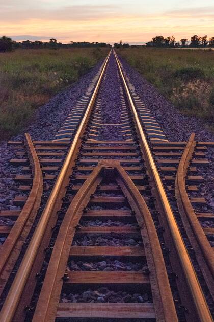 Los ambientalistas abogan por el uso hormigón en lugar de la madera para la confección de los durmientes