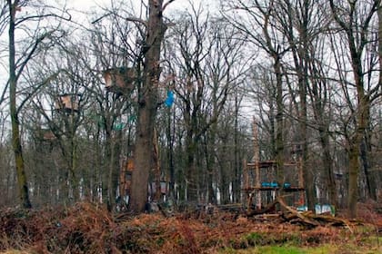 Los ambientalistas llevan años tratando de salvar el bosque de Hambach