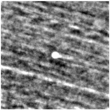 Los análisis espectrográficos detectaron trazas de cianuro y materiales similares a los de la actividad industrial humana