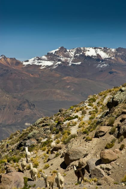 Los Andes contendrían información geológica clave para entender el origen de la vida humana (imagen ilustrativa)