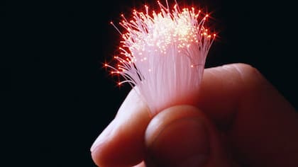 Los "pelos" de un cable de fibra óptica como el que iPlan usa para su servicio de banda ancha