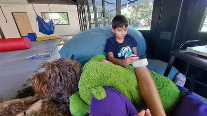 “Los animales están especialmente educados para formar parte del tratamiento y su intervención tiene como finalidad ayudar al profesional de la salud a mejorar las funciones físicas, sociales, emocionales y cognitivas de los pacientes".